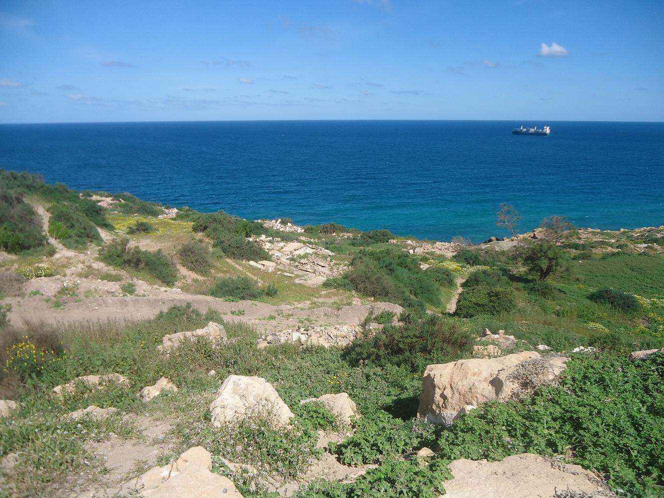 ORAN AUTOUR DE LA TEJERA PAR NOEL LOPEZ DE LA TRINITE SUR MER (41).jpg